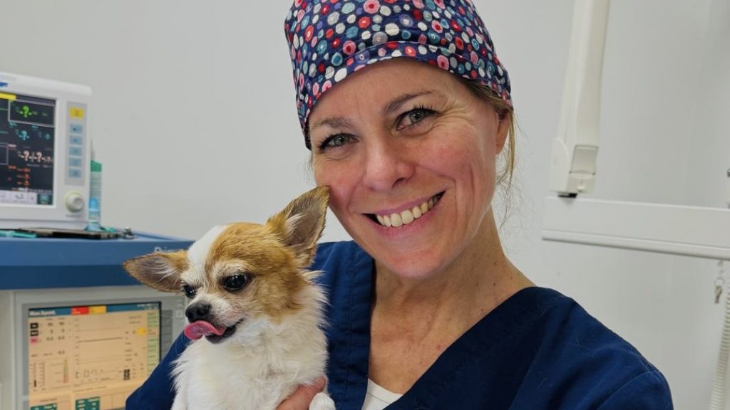 PD Dr. Eva Eberspächer-Schweda hält einen kleinen Hund