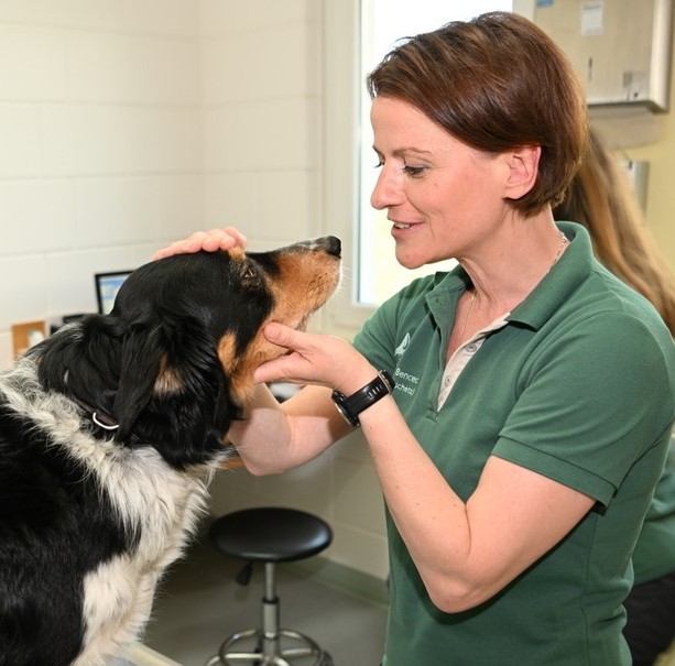 Tierärztin Manu Bencec begrüßt einen Hund liebevoll in der Praxis