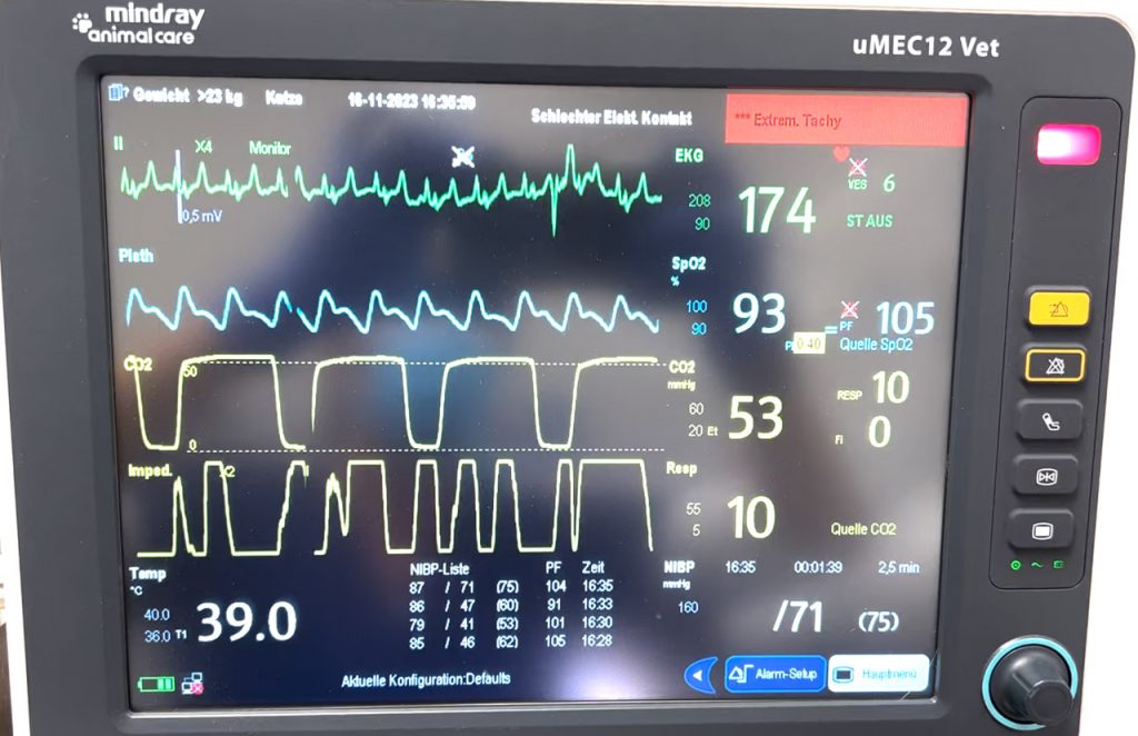 Bild 2 Kapnographie normale FiCO2 Werte