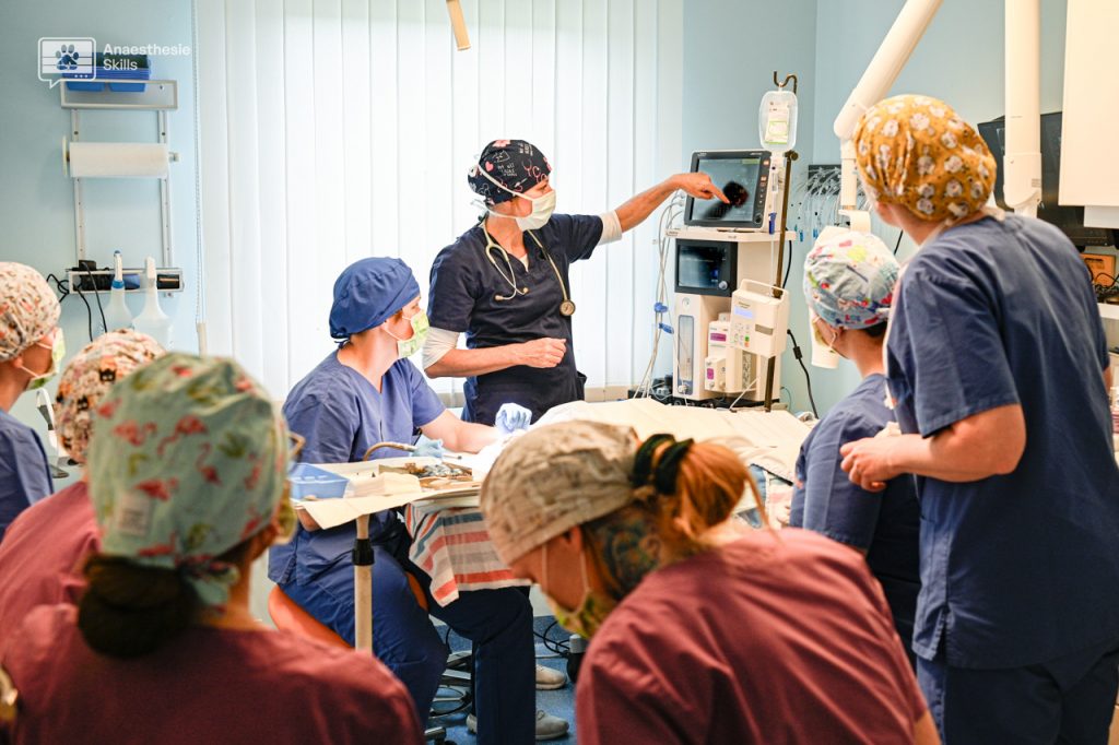PD Dr. Eva Eberspächer-Schweda erklärt Monitoring in der Klinik – Schulung in veterinärmedizinischer Anästhesie und Sicherheit mit AnaesthesieSkills.
