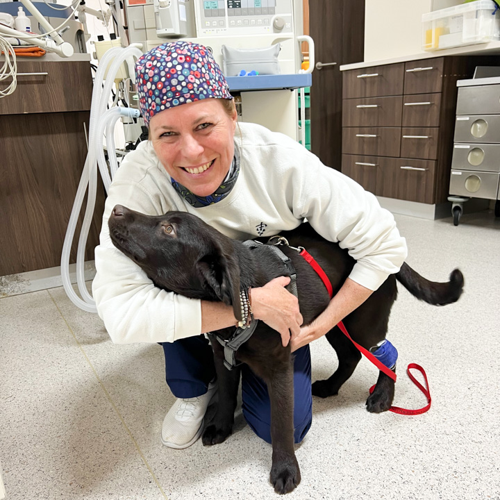 PD Dr. Eva Eberspächer-Schweda betreut Hund nach Operation – liebevolle postoperative Pflege und Anästhesie-Kompetenz.